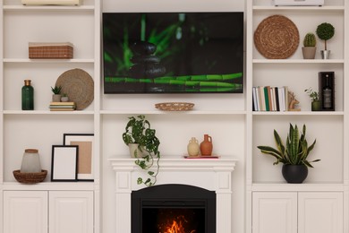 TV, fireplace and shelves with different decor in room. Interior design