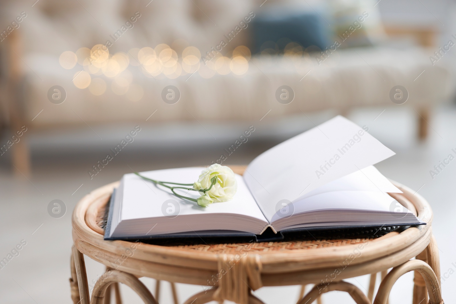 Photo of Open book and eustoma flower on rattan table in living room