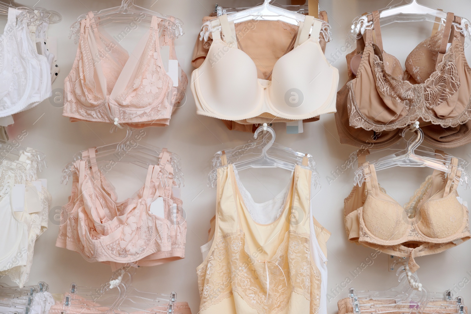 Photo of Many different beautiful women's underwear in lingerie store