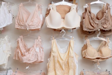 Many different beautiful women's underwear in lingerie store