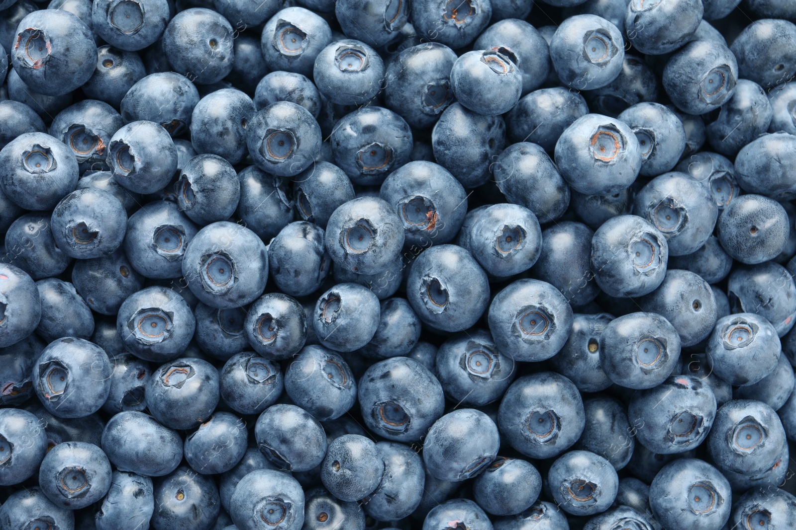 Photo of Tasty fresh blueberries as background, top view