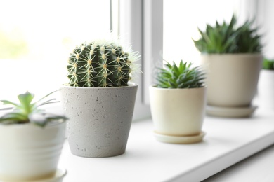 Photo of Beautiful different cacti in pots on windowsill indoors