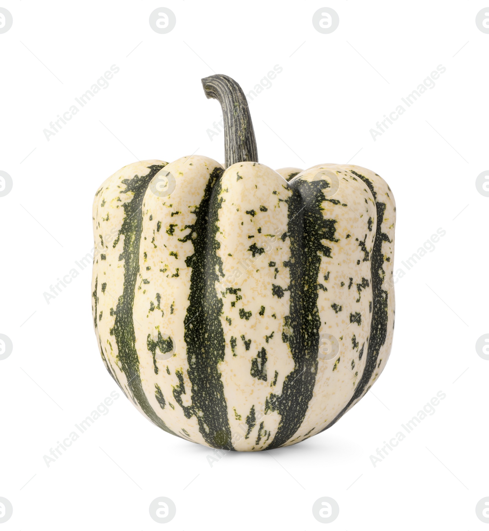 One whole ripe pumpkin isolated on white Photo of One whole ripe pumpkin isolated on white