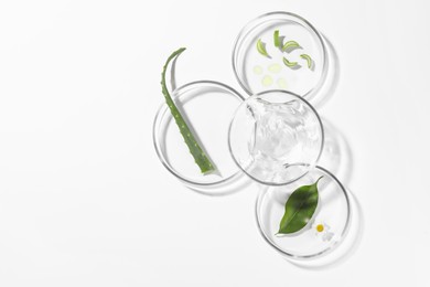 Photo of Petri dishes with different plants and cosmetic product on white background, top view. Space for text
