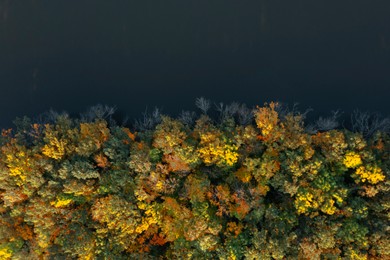 Image of Aerial view of beautiful autumn forest on riverbank
