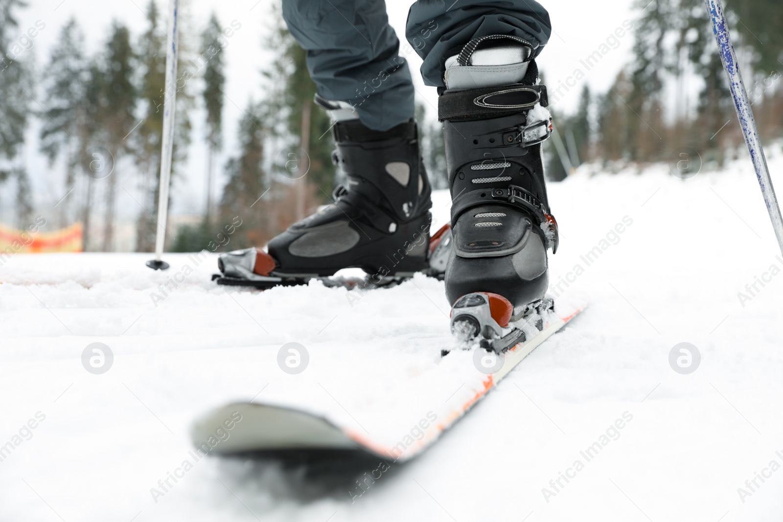 Photo of Skier on slope at resort, closeup. Winter vacation