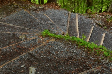Photo of View of stairs with stones among trees in forest