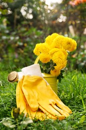 Photo of Watering can with flowers and yellow gardening gloves on grass outdoors