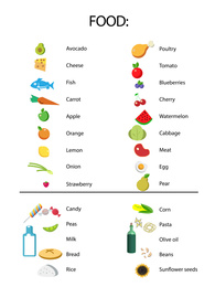 Illustration of Illustrations and food list on white background. Nutritionist's recommendations