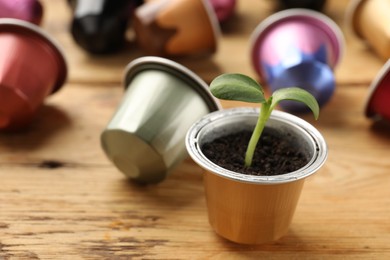 Photo of Coffee capsules and seedling on wooden table, closeup