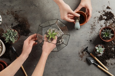 Photo of Women transplanting home plants on grey background, top view