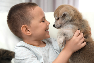 Photo of Little boy with Akita inu puppy on sofa at home. Friendly dog
