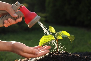Photo of Woman watering beautiful green seedling in soil outdoors, closeup. Planting tree