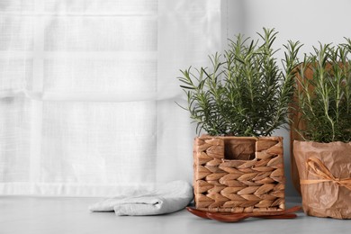 Photo of Aromatic green rosemary in pots and wooden spoons on white table, space for text