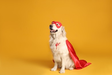 Photo of Adorable dog in red superhero cape and mask on yellow background, space for text