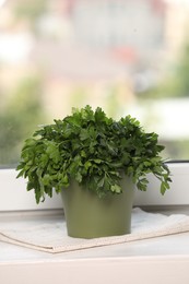Photo of Aromatic parsley growing in pot on window sill. Space for text