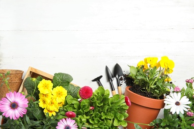 Photo of Composition with gardening equipment and flowers on wooden table, top view