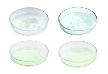Image of Collage of Petri dishes with liquid samples isolated on white