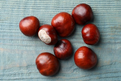 Photo of Many horse chestnuts on blue wooden table, flat lay
