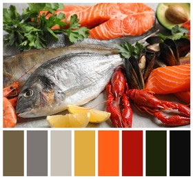 Image of Fresh fish and different seafood on light grey table and color palette. Collage