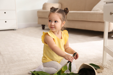 Little girl near houseplant and broken pot at home