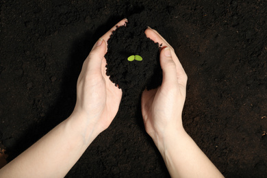 Photo of Woman taking soil with green seedling, top view