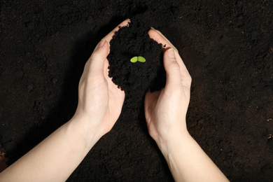 Woman taking soil with green seedling, top view