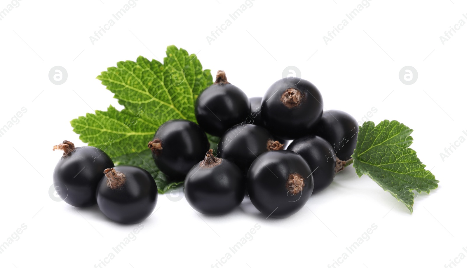 Photo of Ripe blackcurrants and leaves isolated on white