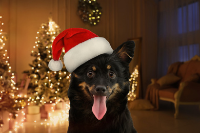 Cute dog with Santa hat and room decorated for Christmas on background