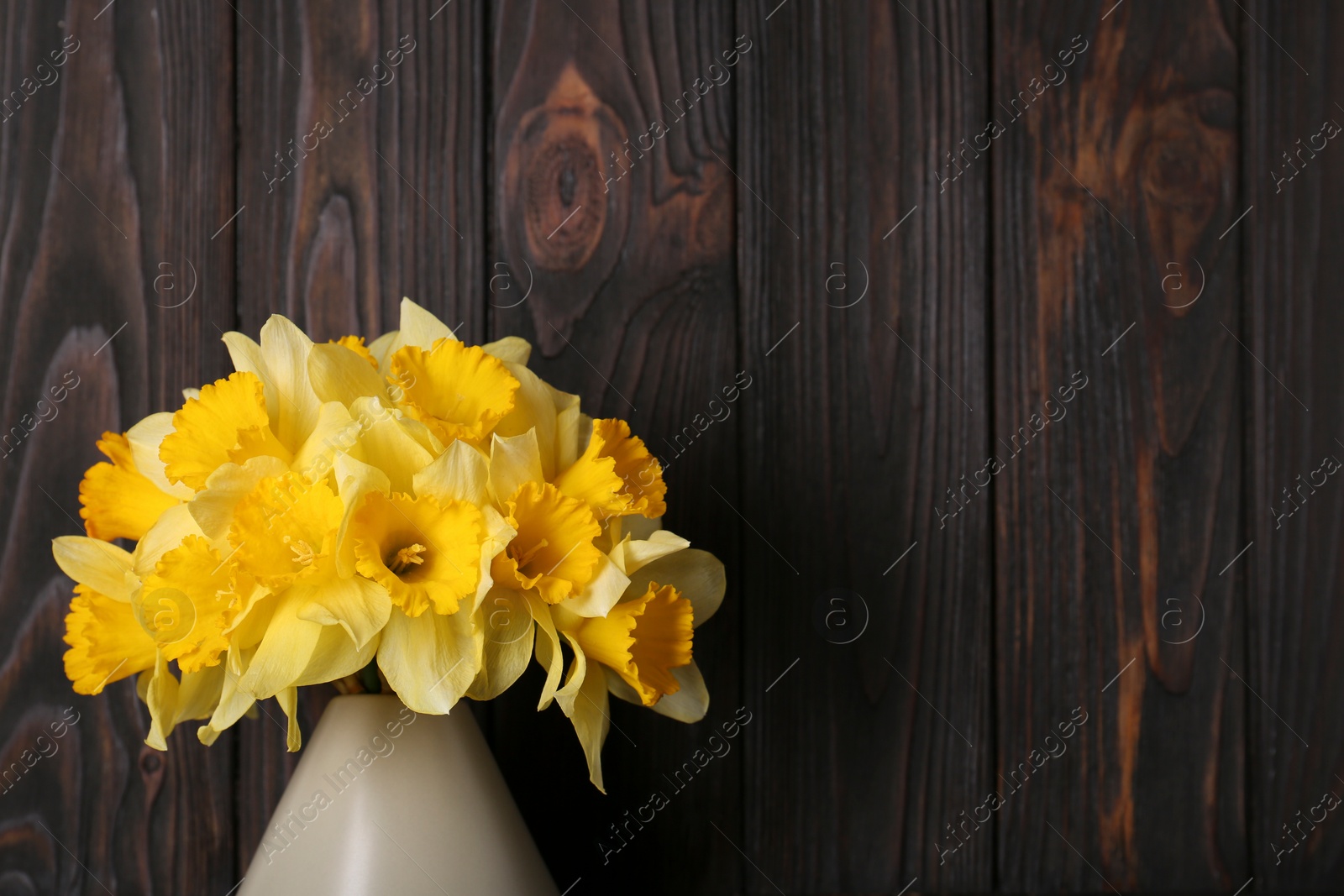 Photo of Bouquet of beautiful yellow daffodils in vase near wooden wall. Space for text