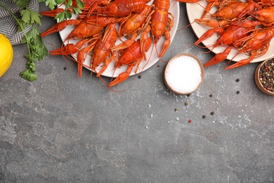 Flat lay composition with delicious boiled crayfishes on grey table, space for text