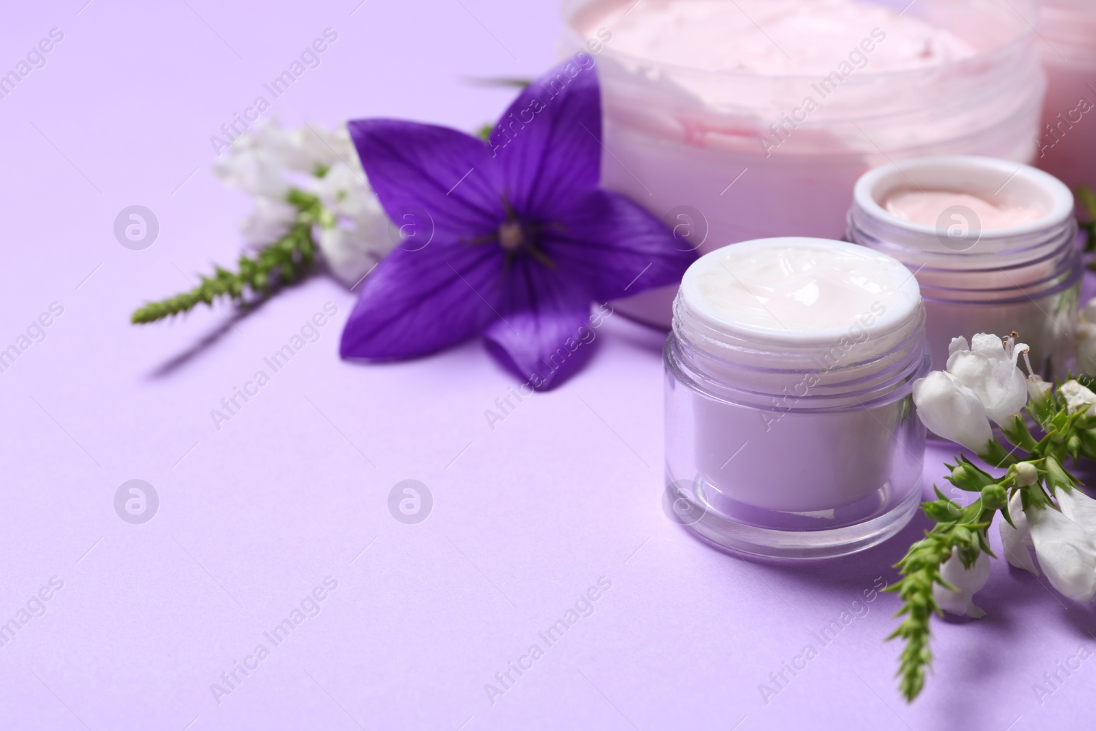 Photo of Jars of body cream and flowers on lilac background. Space for text