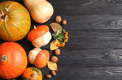 Flat lay composition with different pumpkins and space for text on wooden background. Autumn holidays