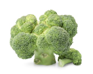 Fresh raw green broccoli isolated on white