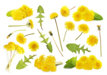 Set with beautiful yellow dandelions on white background