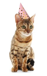Cute Bengal cat with party hat on white background