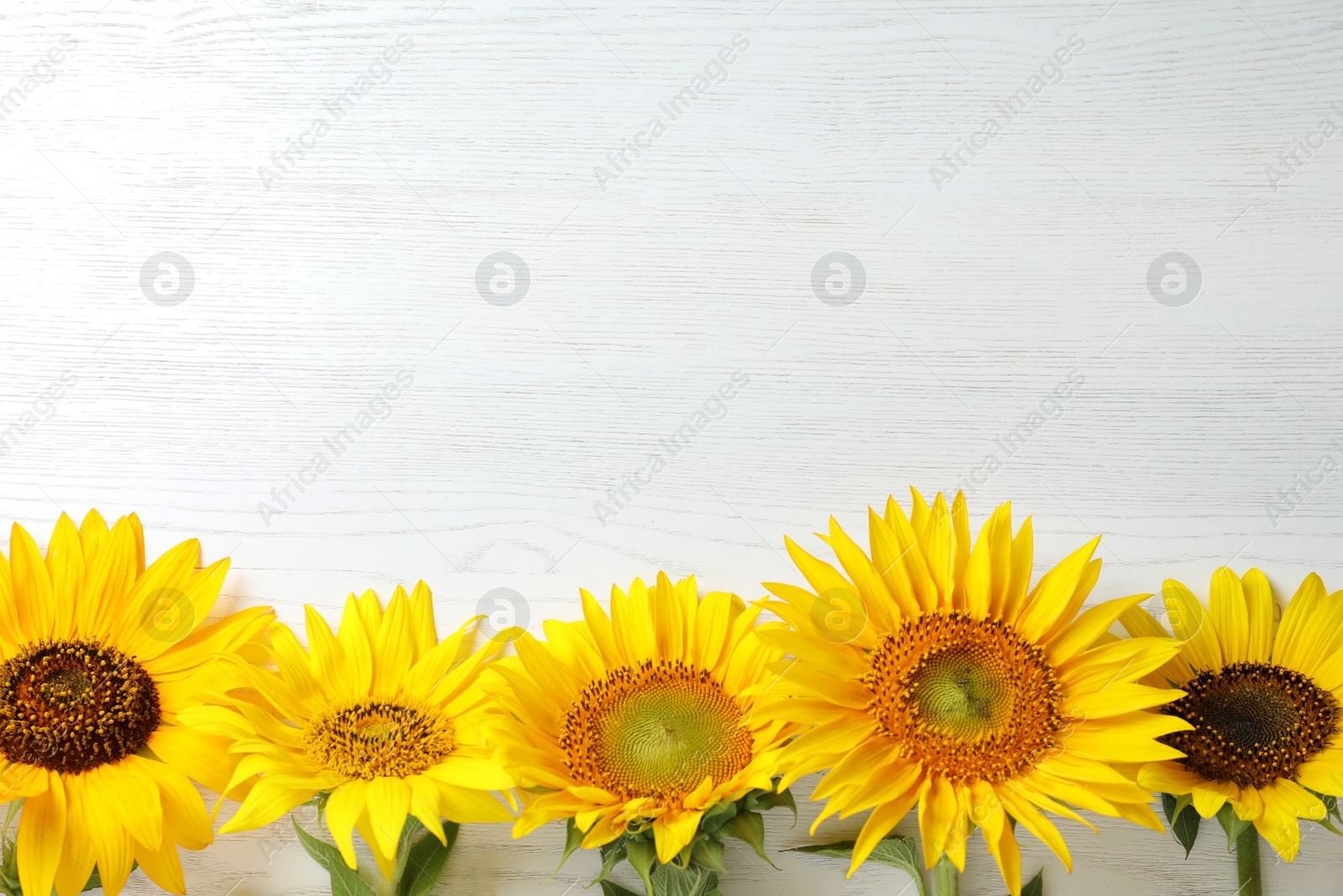 Photo of Yellow sunflowers on wooden background, top view