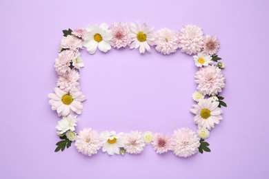 Photo of Frame made of beautiful chrysanthemum flowers on violet background, flat lay. Space for text