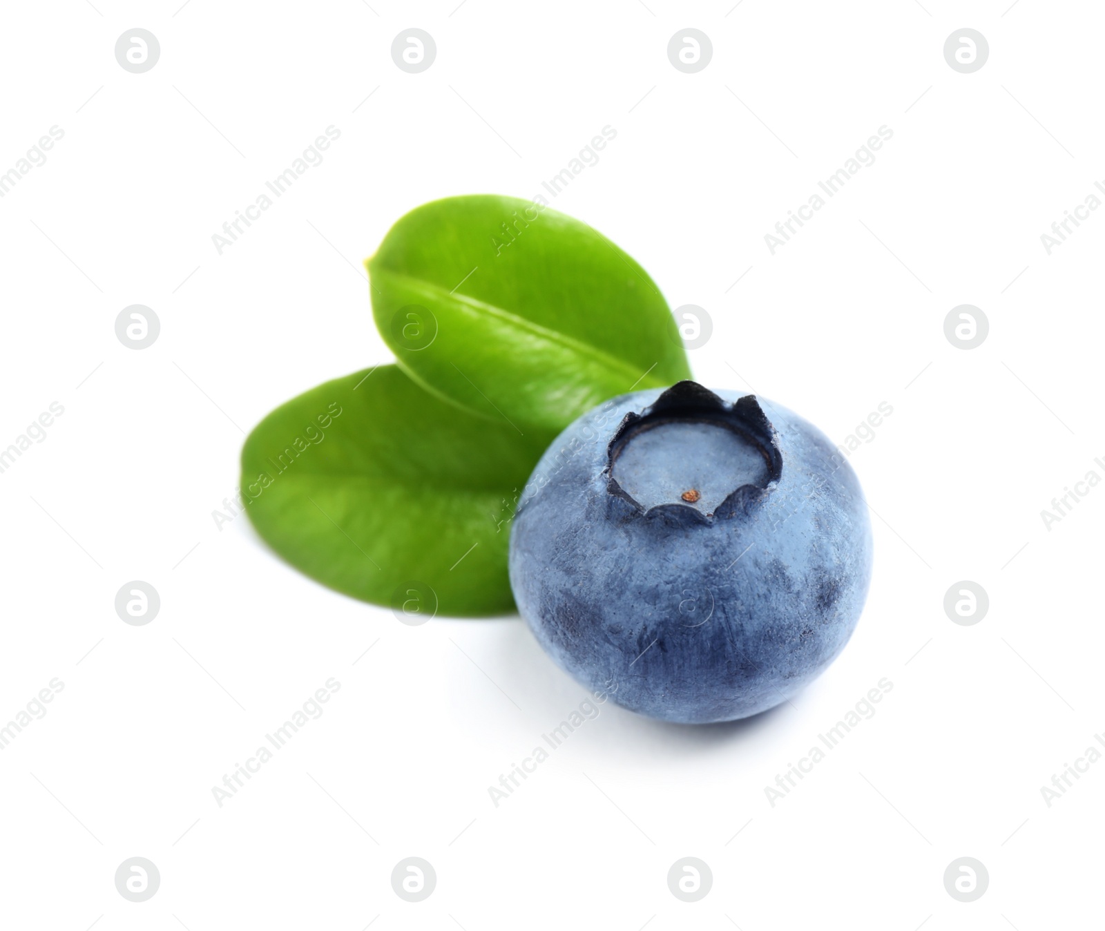 Photo of Fresh ripe blueberry with leaves on white background