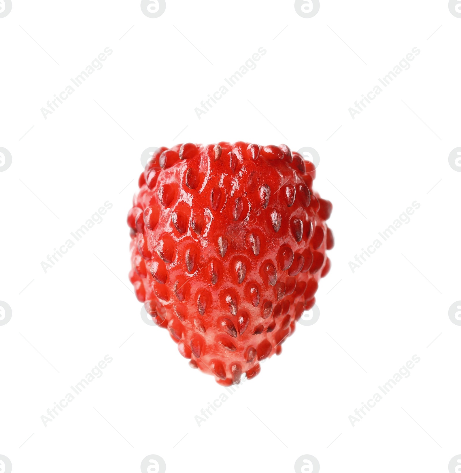 Photo of One ripe wild strawberry isolated on white