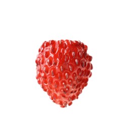 Photo of One ripe wild strawberry isolated on white