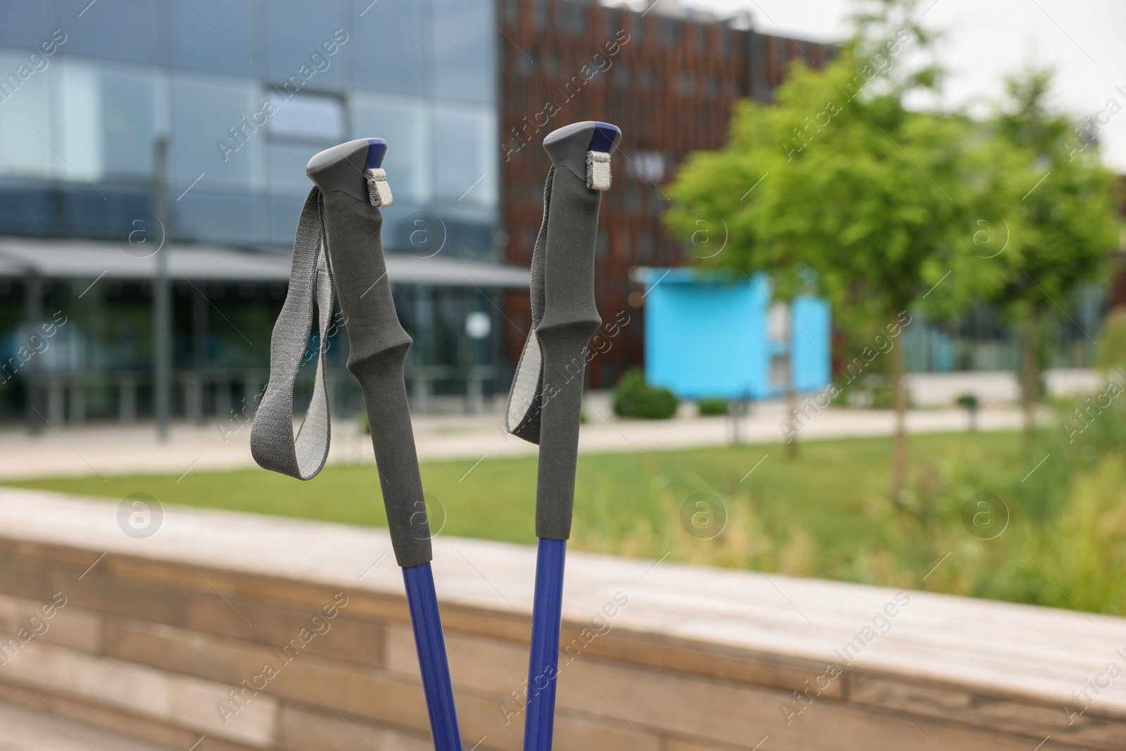 Photo of Two poles for Nordic walking outdoors, closeup