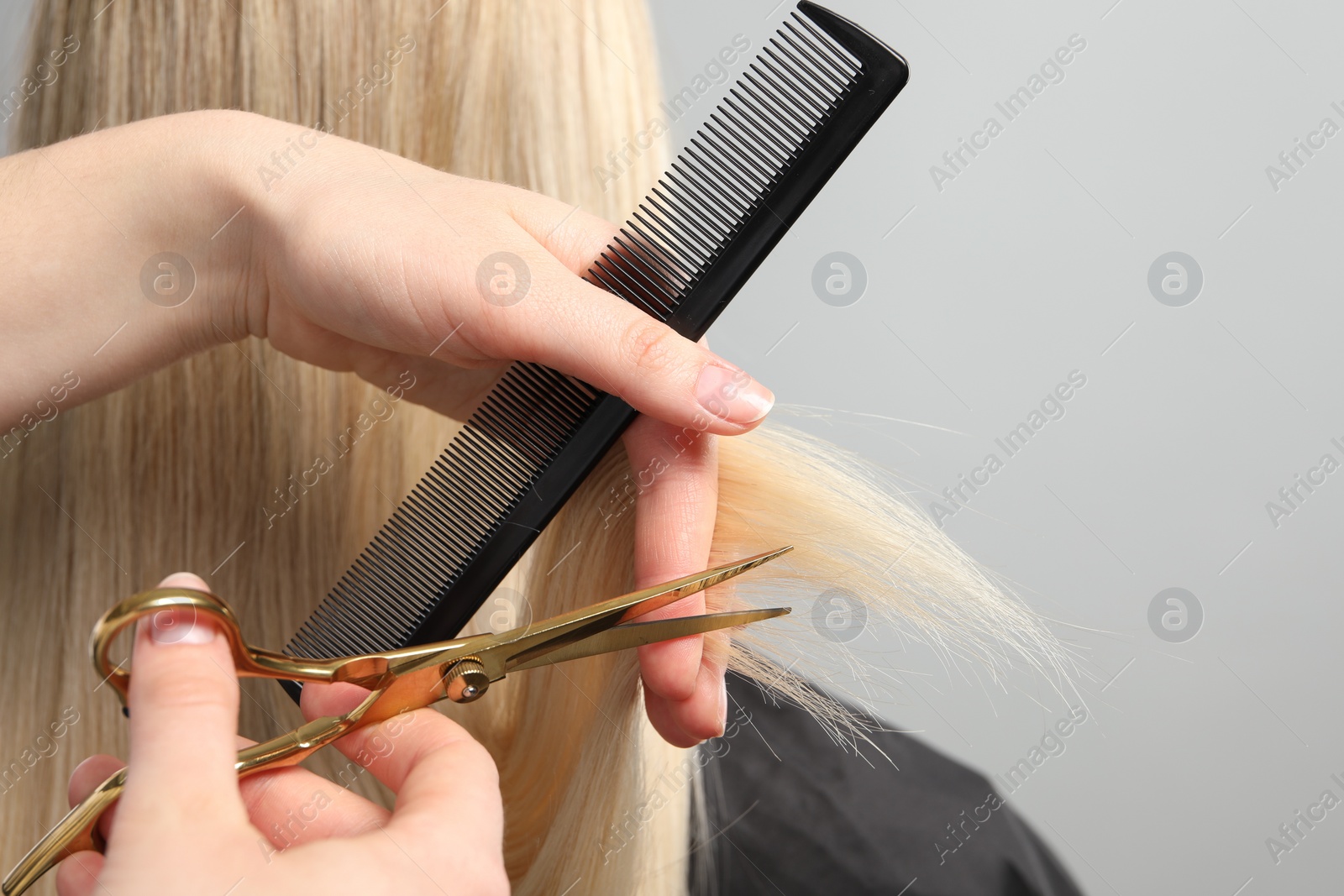 Photo of Hairdresser cutting client's hair with scissors on light grey background, closeup. Space for text