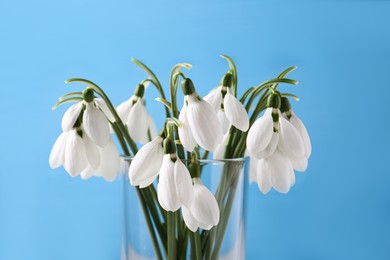 Photo of Beautiful snowdrops in vase on light blue background, closeup