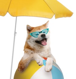 Image of Cute dog in sunglasses under beach umbrella on white background. Summer party