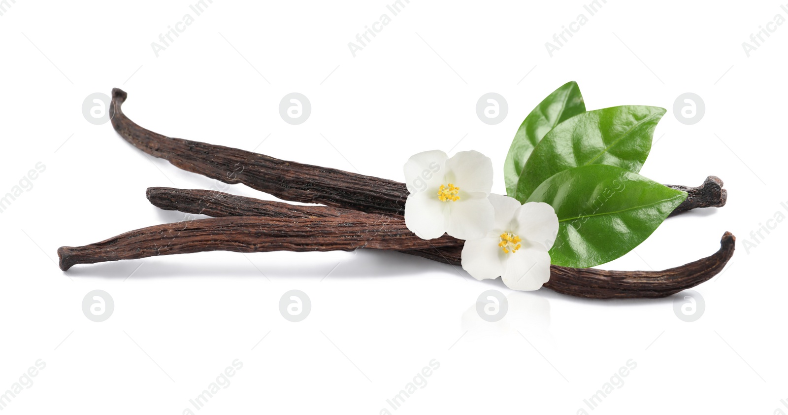 Image of Dried aromatic vanilla sticks, beautiful flowers and green leaves on white background. Banner design