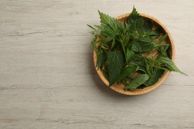 Photo of Fresh stinging nettle leaves in bowl on white wooden table, top view. Space for text