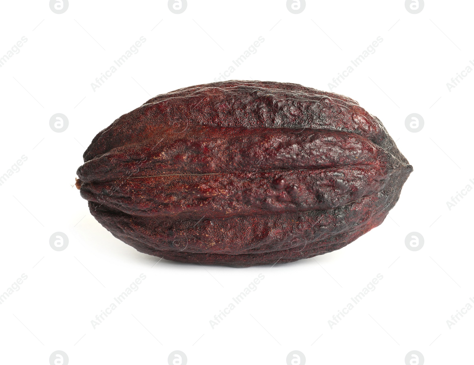 Photo of Whole tropical cocoa pod isolated on white