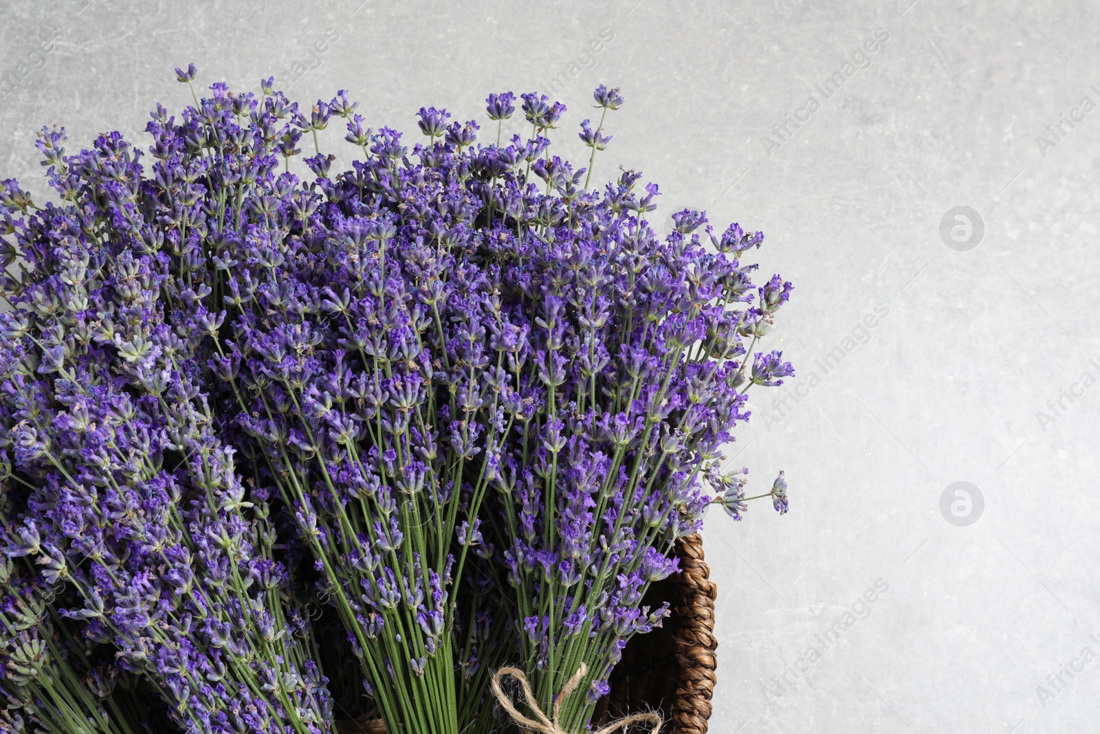 Photo of Fresh lavender flowers in basket on grey stone table, top view. Space for text