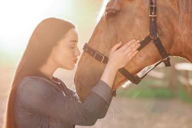 Beautiful woman with adorable horse outdoors on sunny day. Lovely domesticated pet